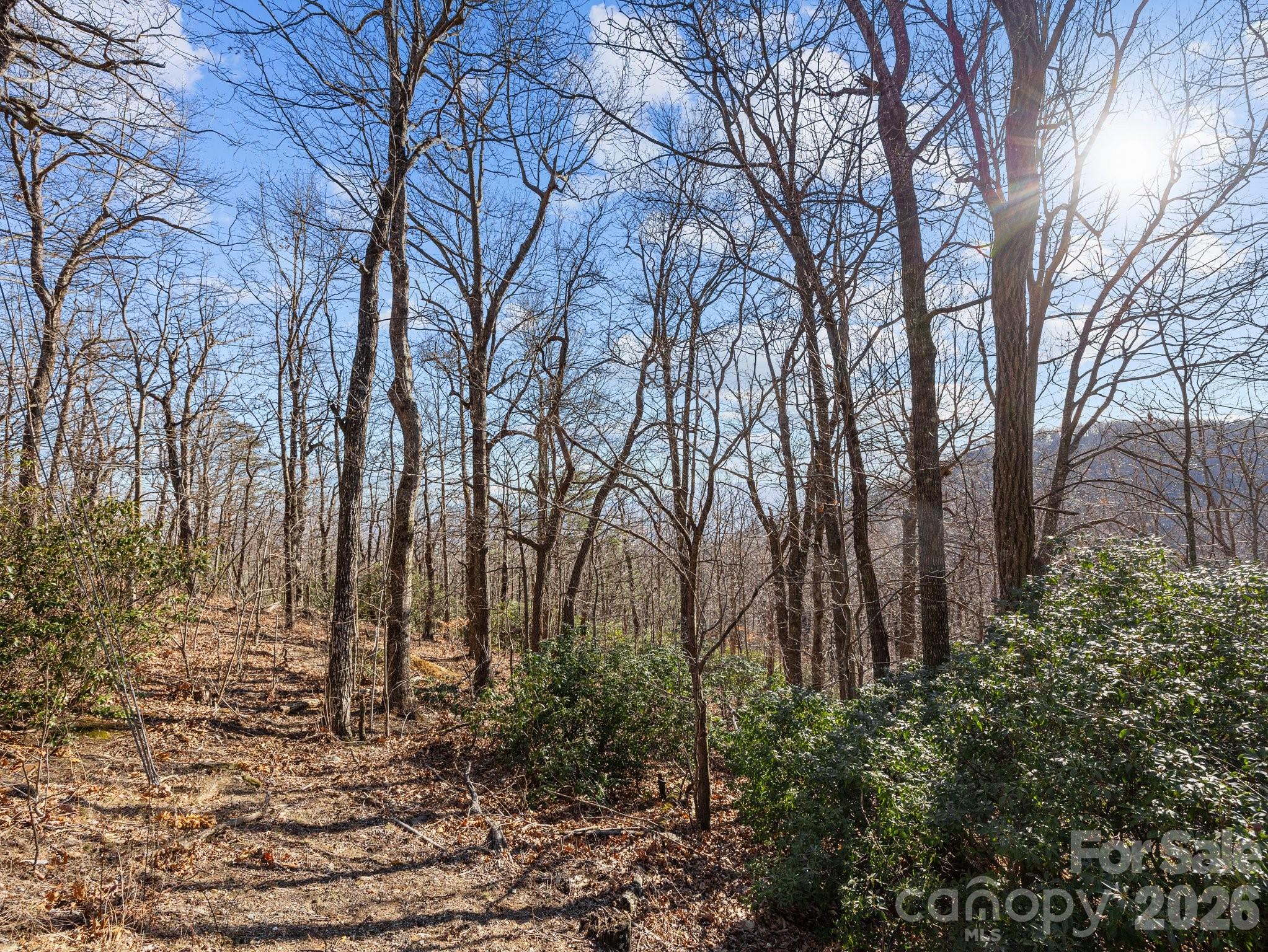 00 Morning Ride Drive Columbus NC 28722