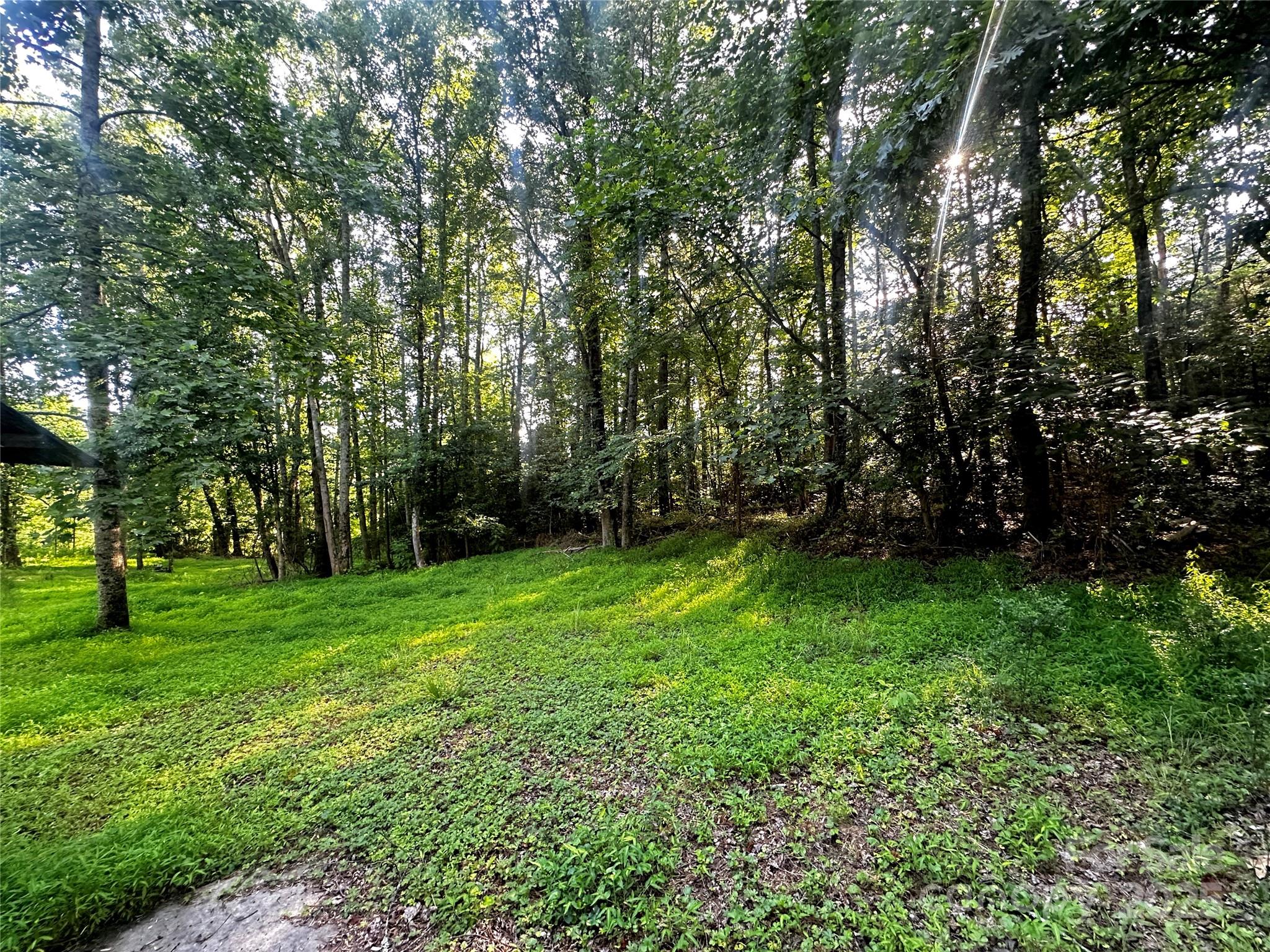 2034 Champion Mt Pleasant Road Ferguson NC 28624