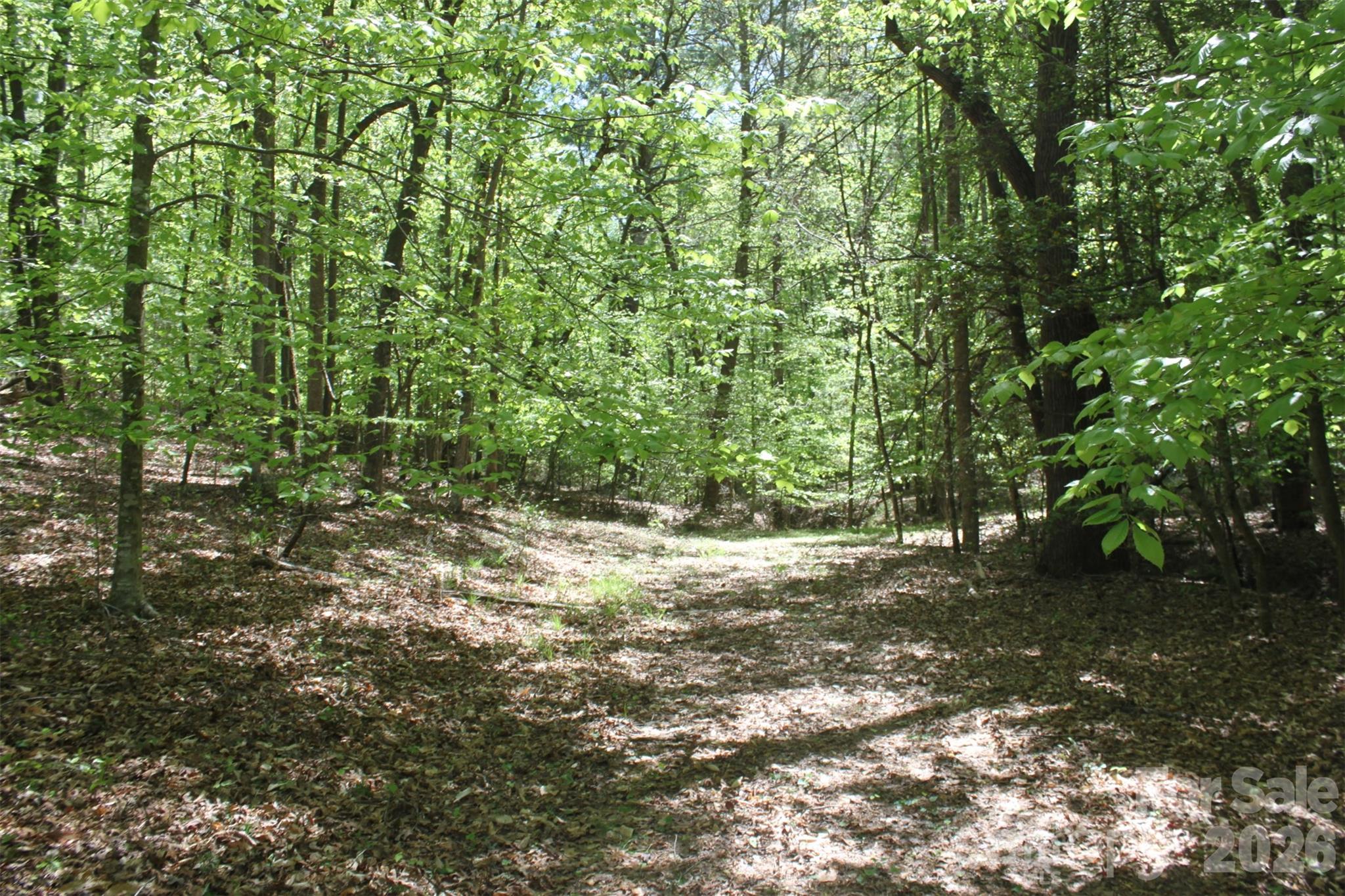 Tbd Austin Traphill Road Elkin NC 28621