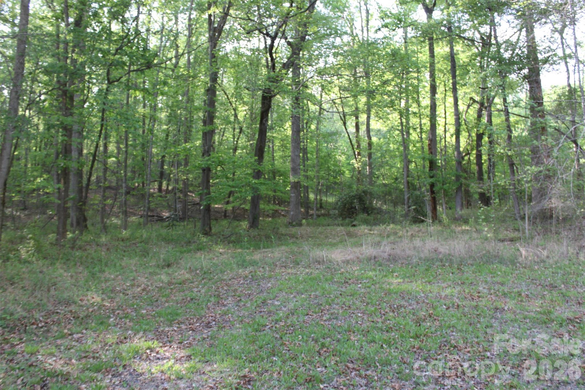 Tbd Austin Traphill Road Elkin NC 28621