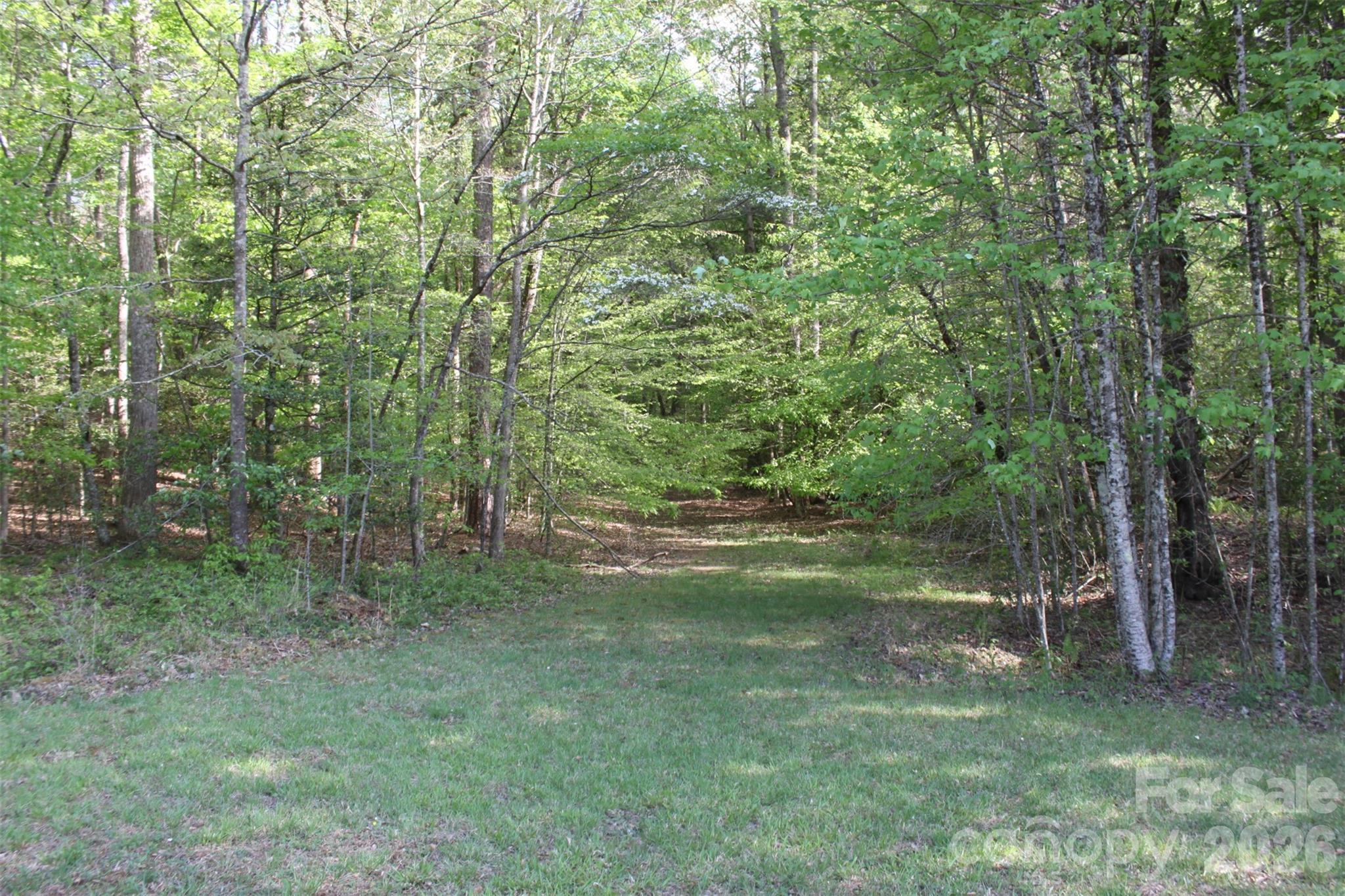Tbd Austin Traphill Road Elkin NC 28621