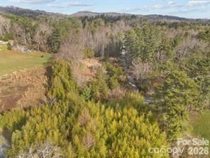 425 Nelson Valley Lane Hendersonville NC 28739