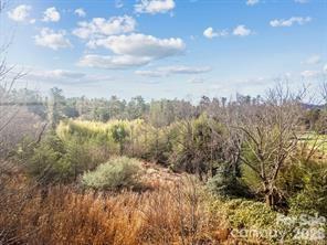425 Nelson Valley Lane Hendersonville NC 28739