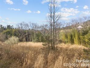 425 Nelson Valley Lane Hendersonville NC 28739