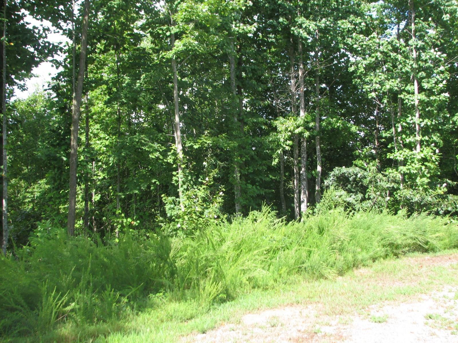 0000 Double Eagle Drive Nebo NC 28761