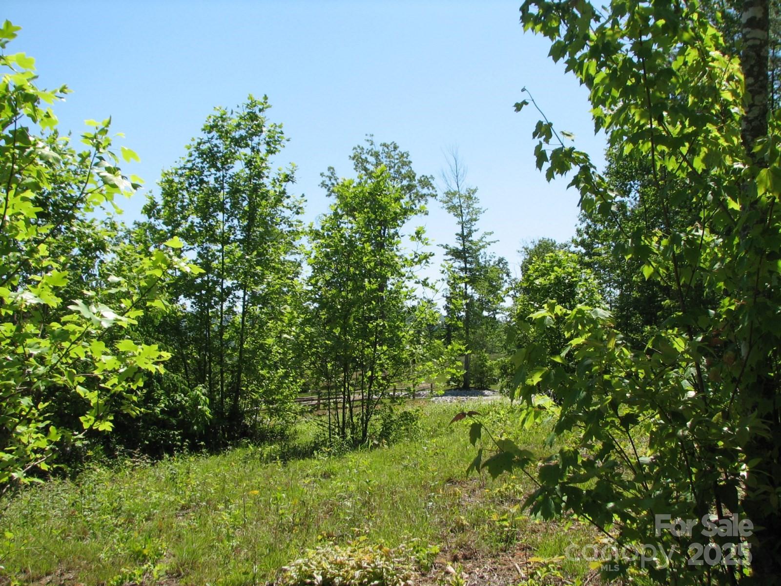 0000 Double Eagle Drive Nebo NC 28761