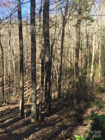 0000 Double Eagle Drive Nebo NC 28761