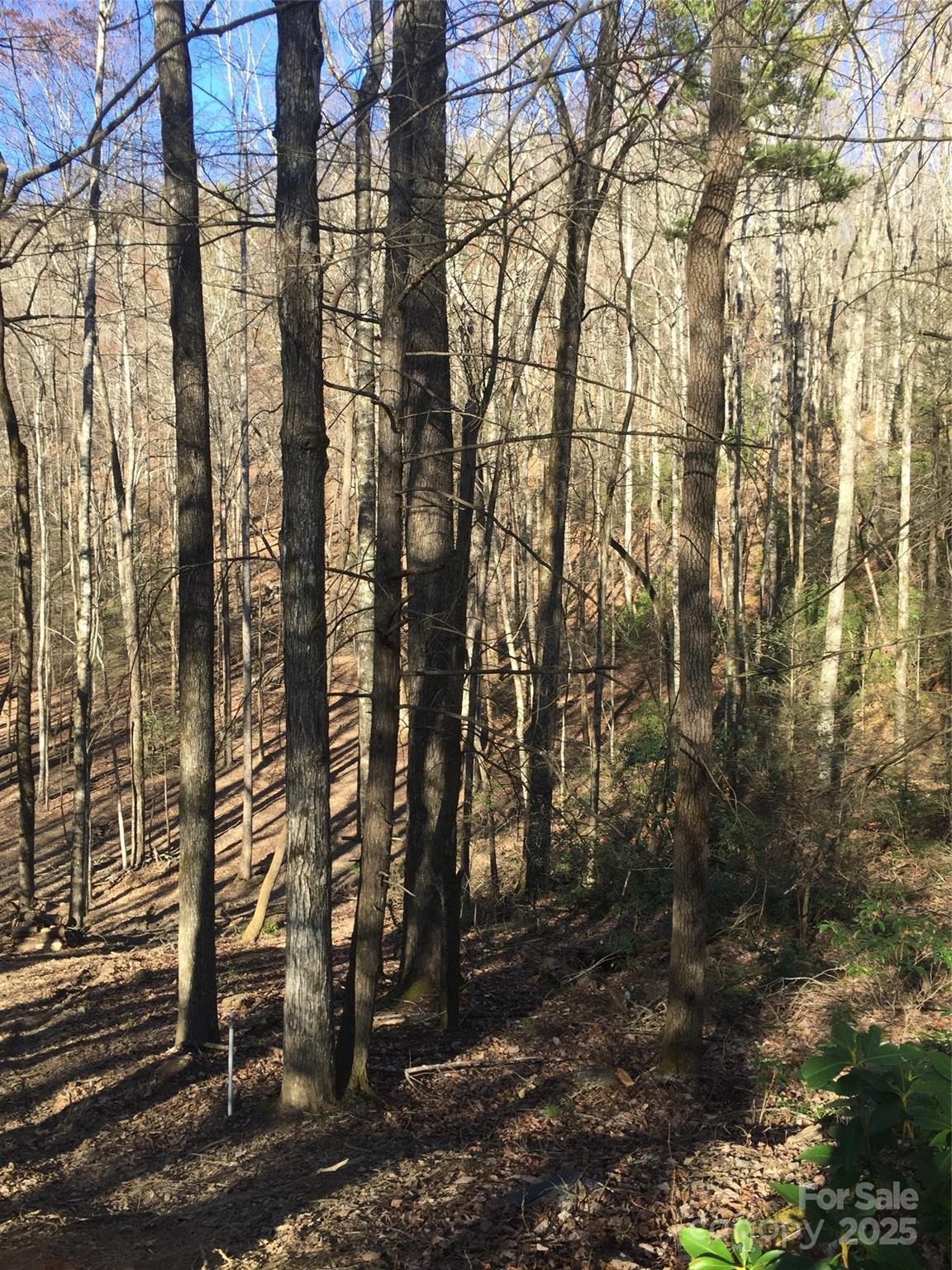 0000 Double Eagle Drive Nebo NC 28761