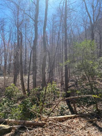 0000 Double Eagle Drive Nebo NC 28761