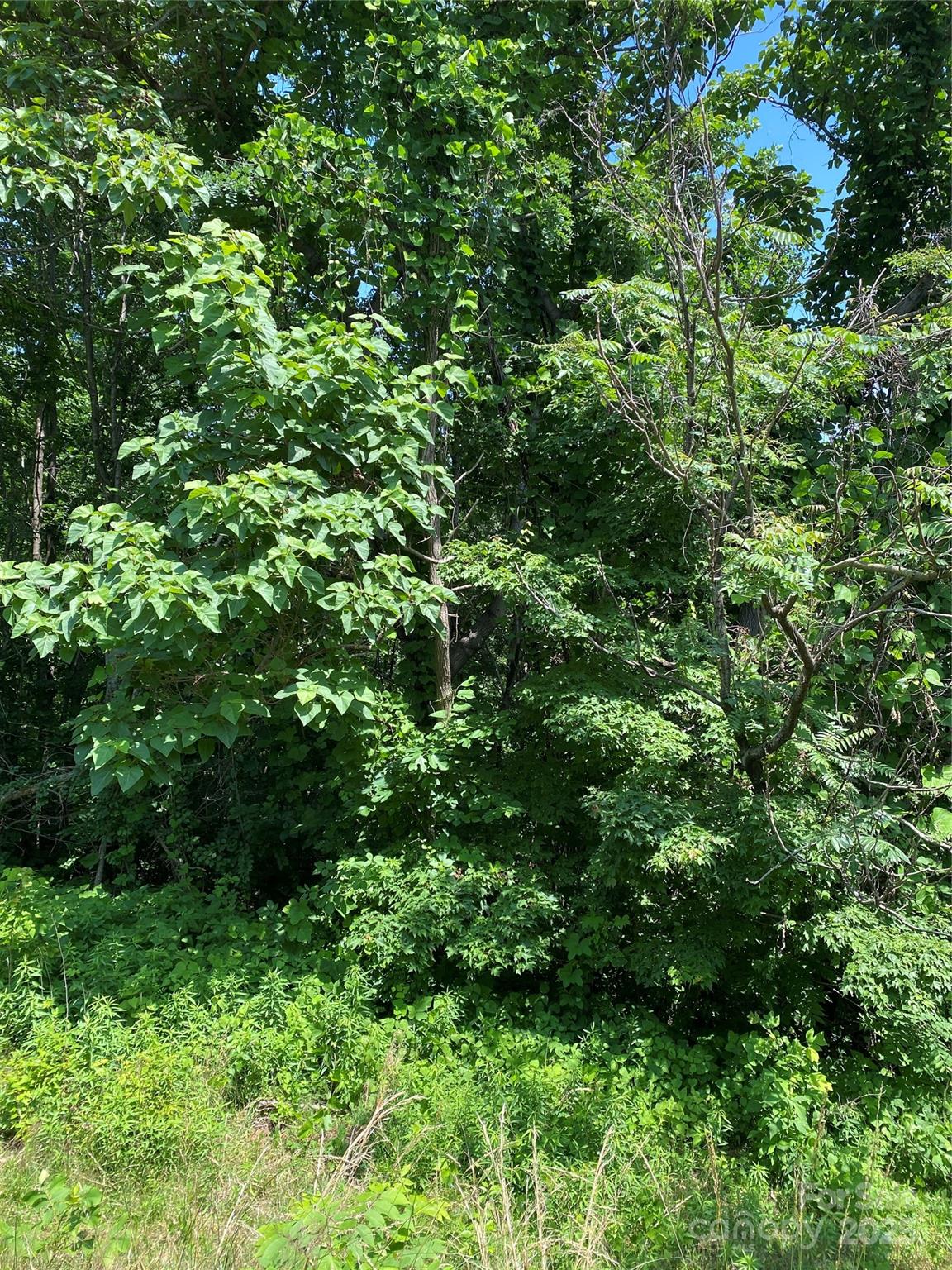 0000 Double Eagle Drive Nebo NC 28761