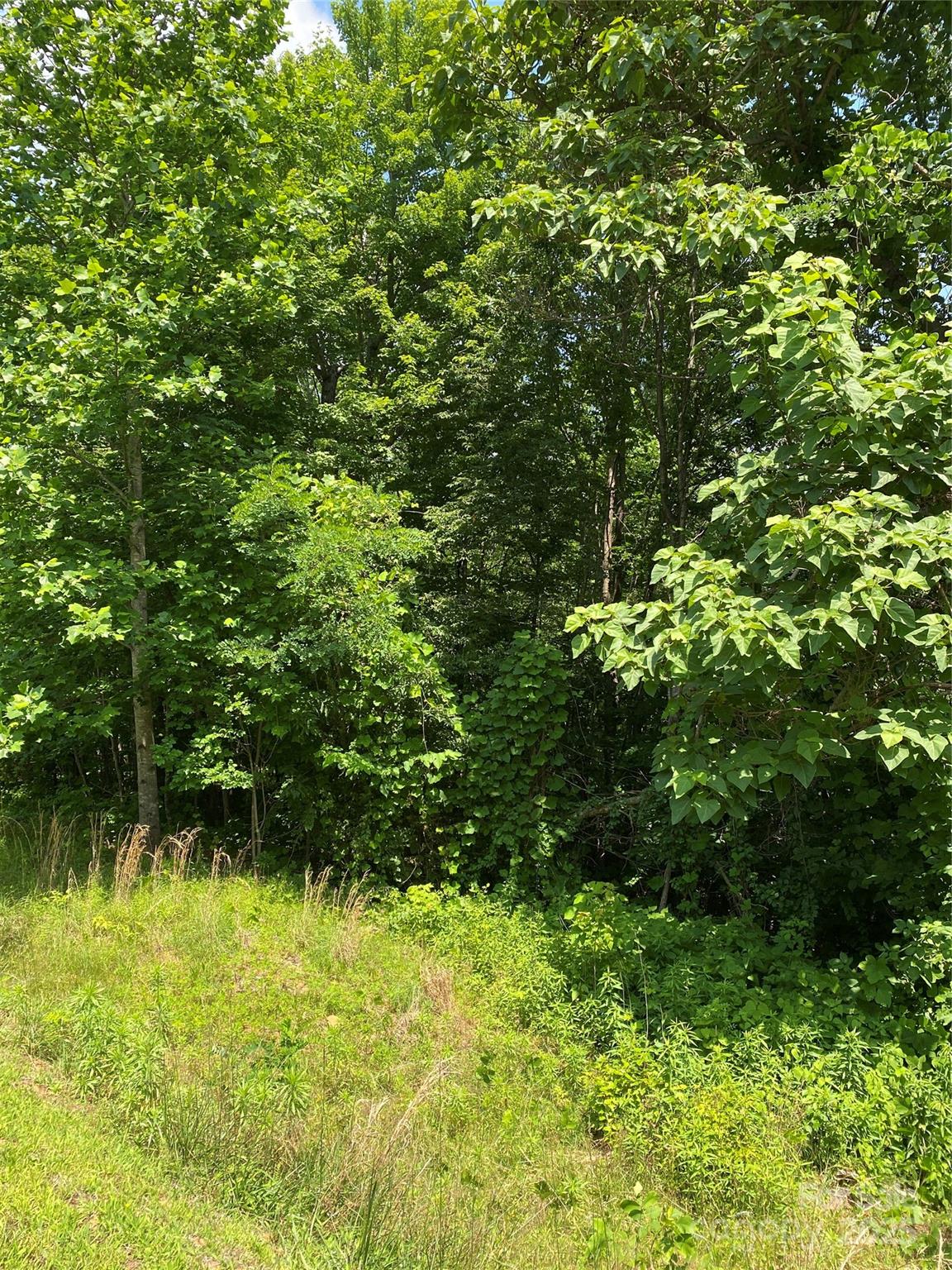 0000 Double Eagle Drive Nebo NC 28761
