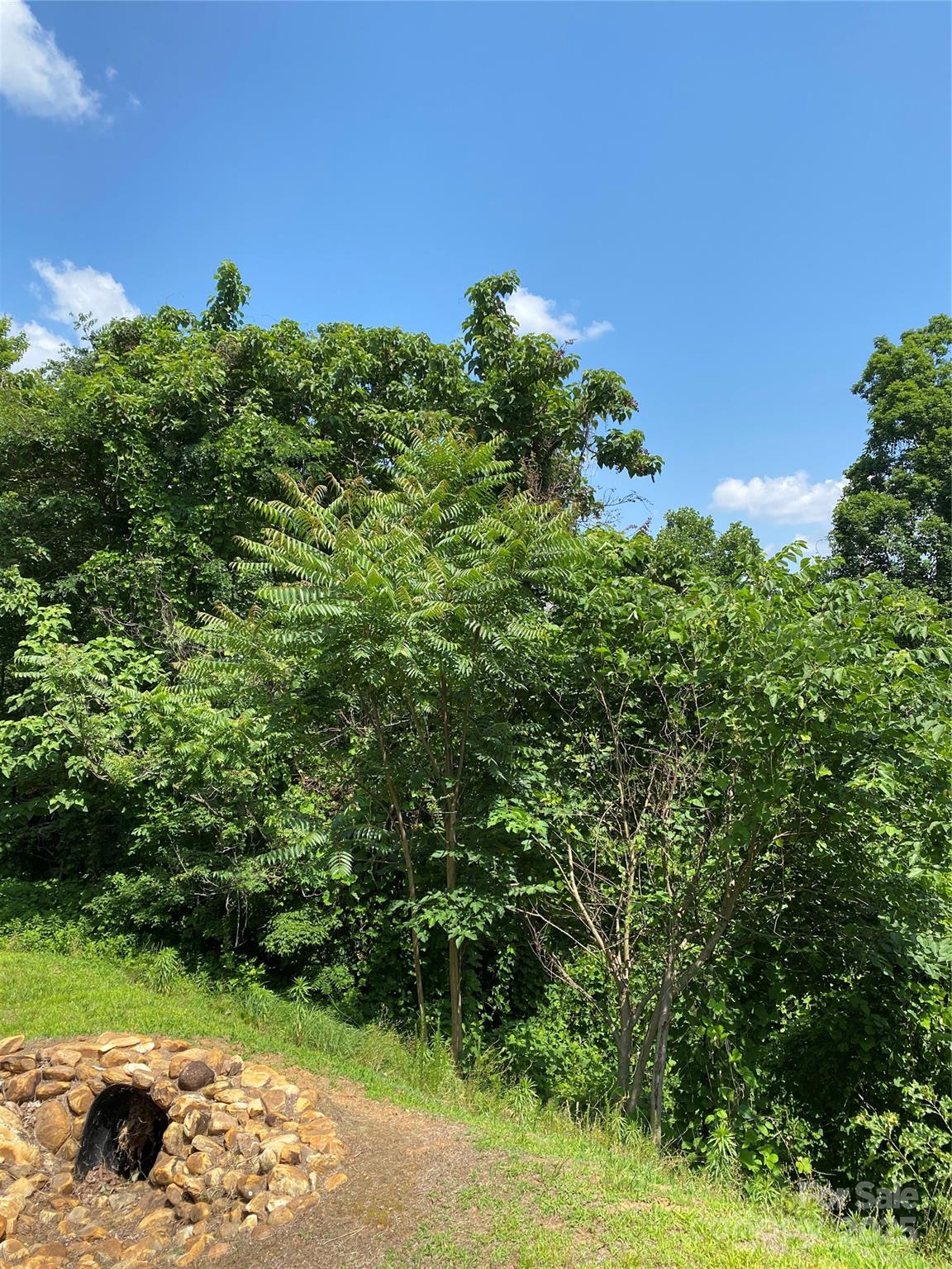 0000 Double Eagle Drive Nebo NC 28761