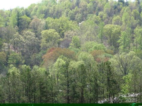 0000 Double Eagle Drive Nebo NC 28761