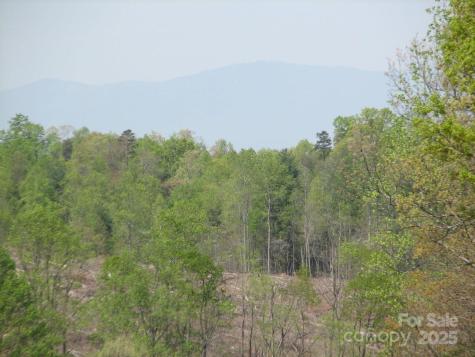 0000 Double Eagle Drive Nebo NC 28761