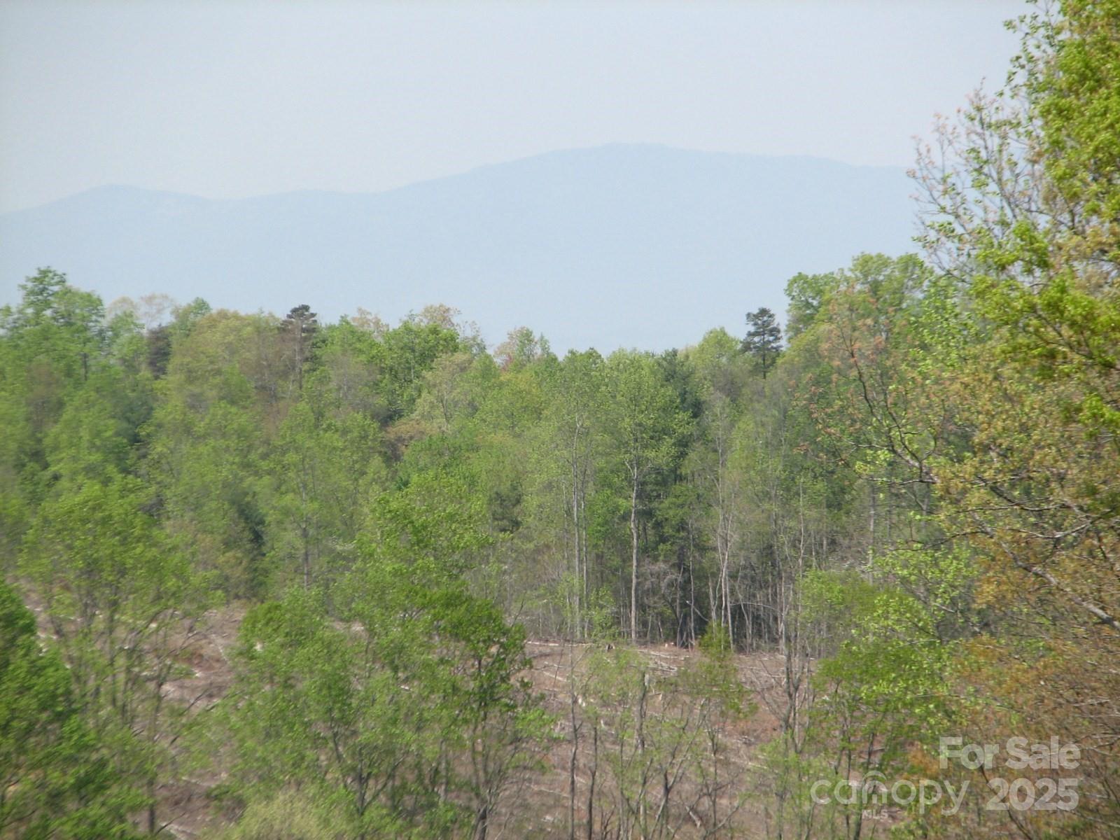 0000 Double Eagle Drive Nebo NC 28761