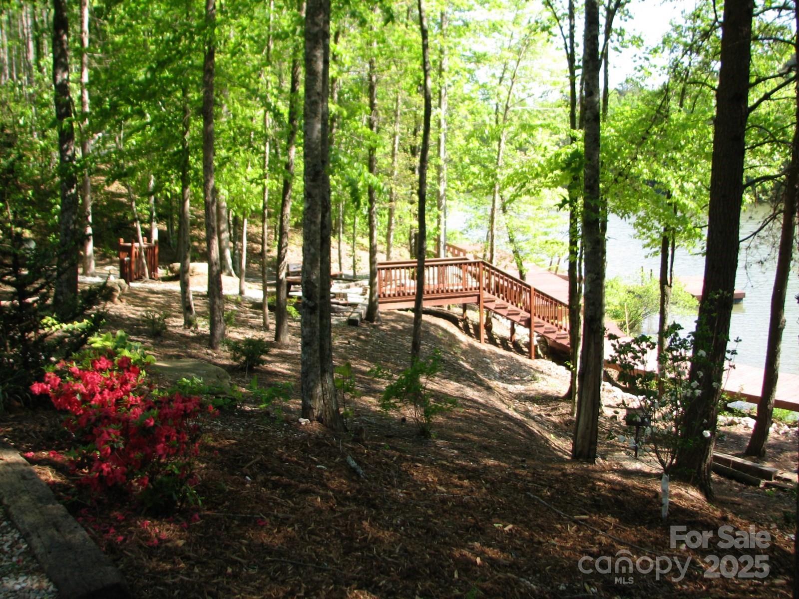 0000 Double Eagle Drive Nebo NC 28761