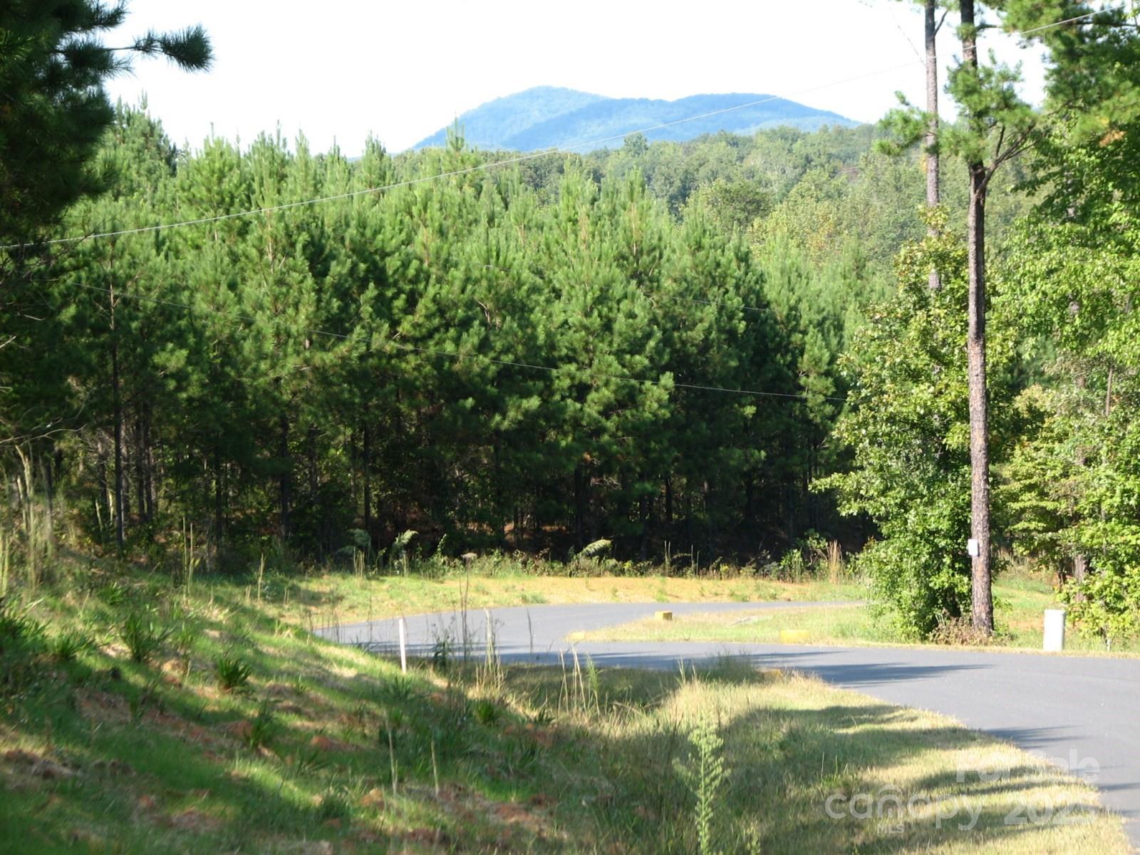 0000 Double Eagle Drive Nebo NC 28761