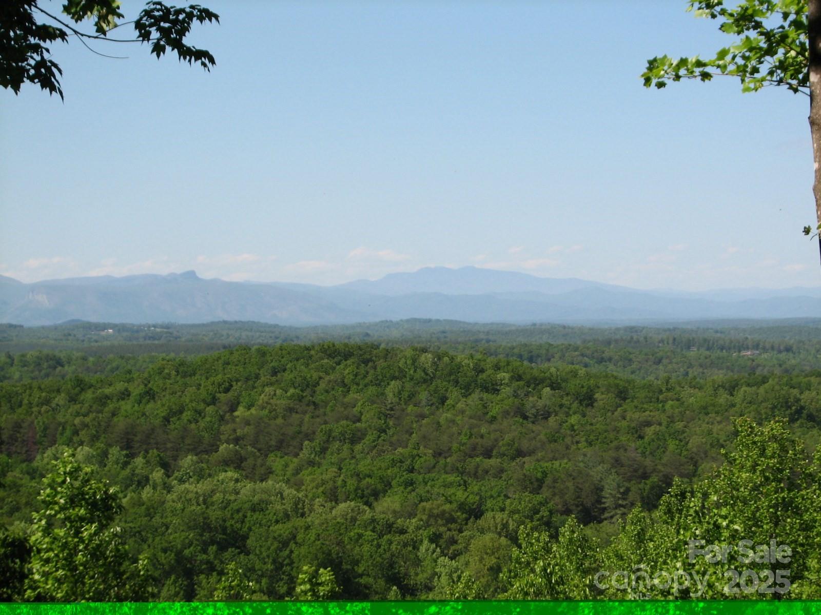 0000 Double Eagle Drive Nebo NC 28761