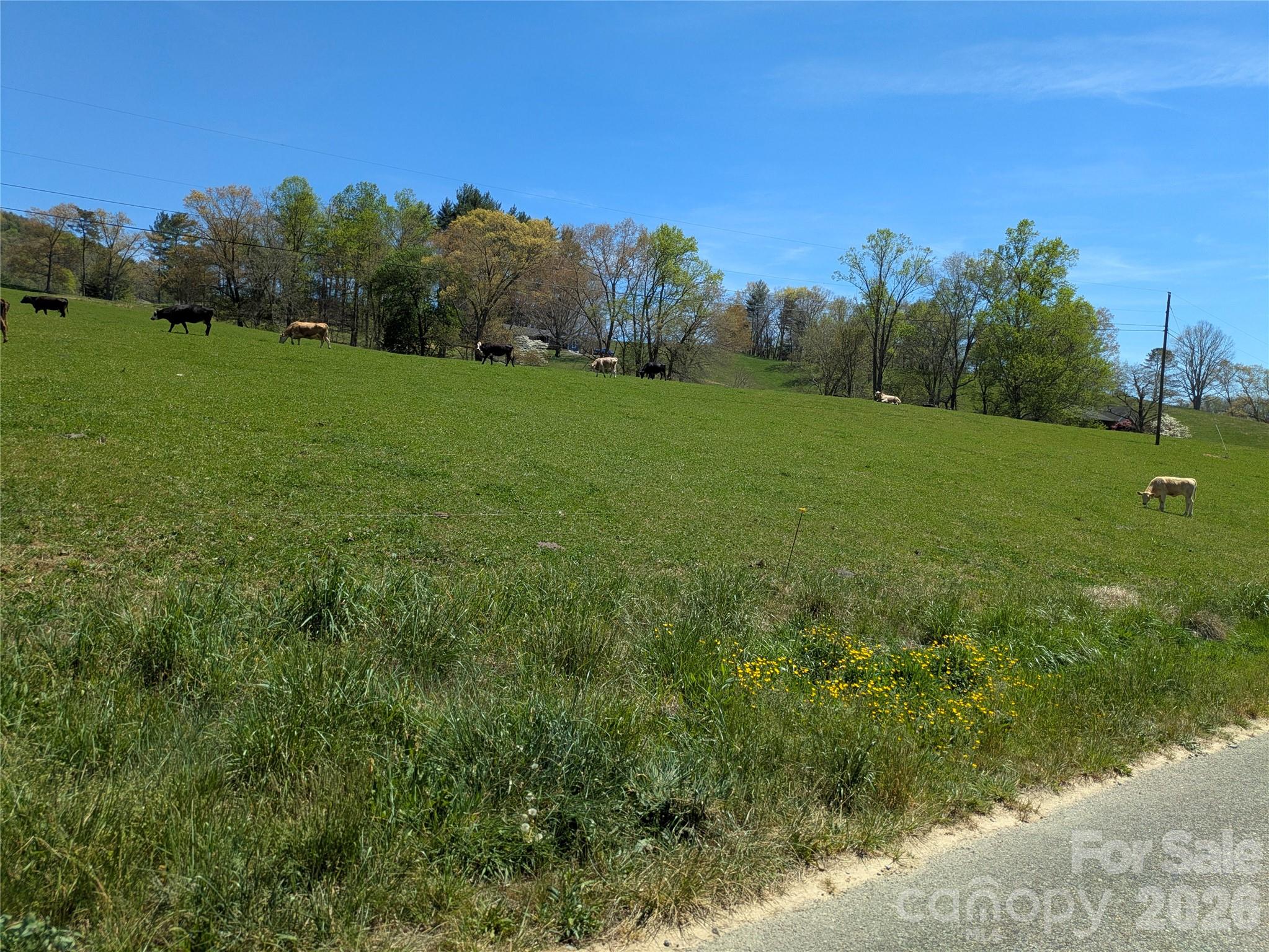 Tbd Glance Cove Road Clyde NC 28721