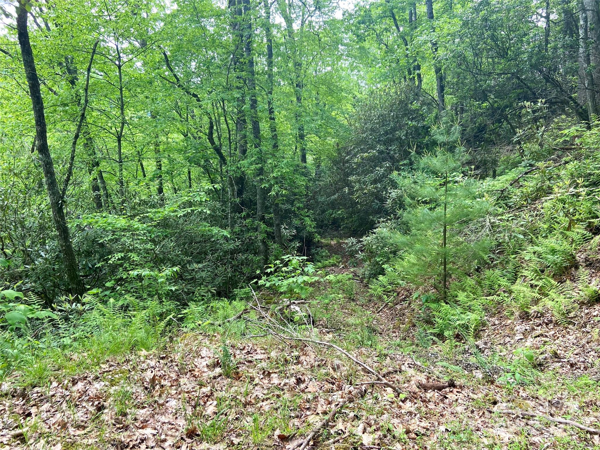 Lot 10 Mystic Forest Way Bryson City NC 28713