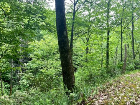 Lot 10 Mystic Forest Way Bryson City NC 28713