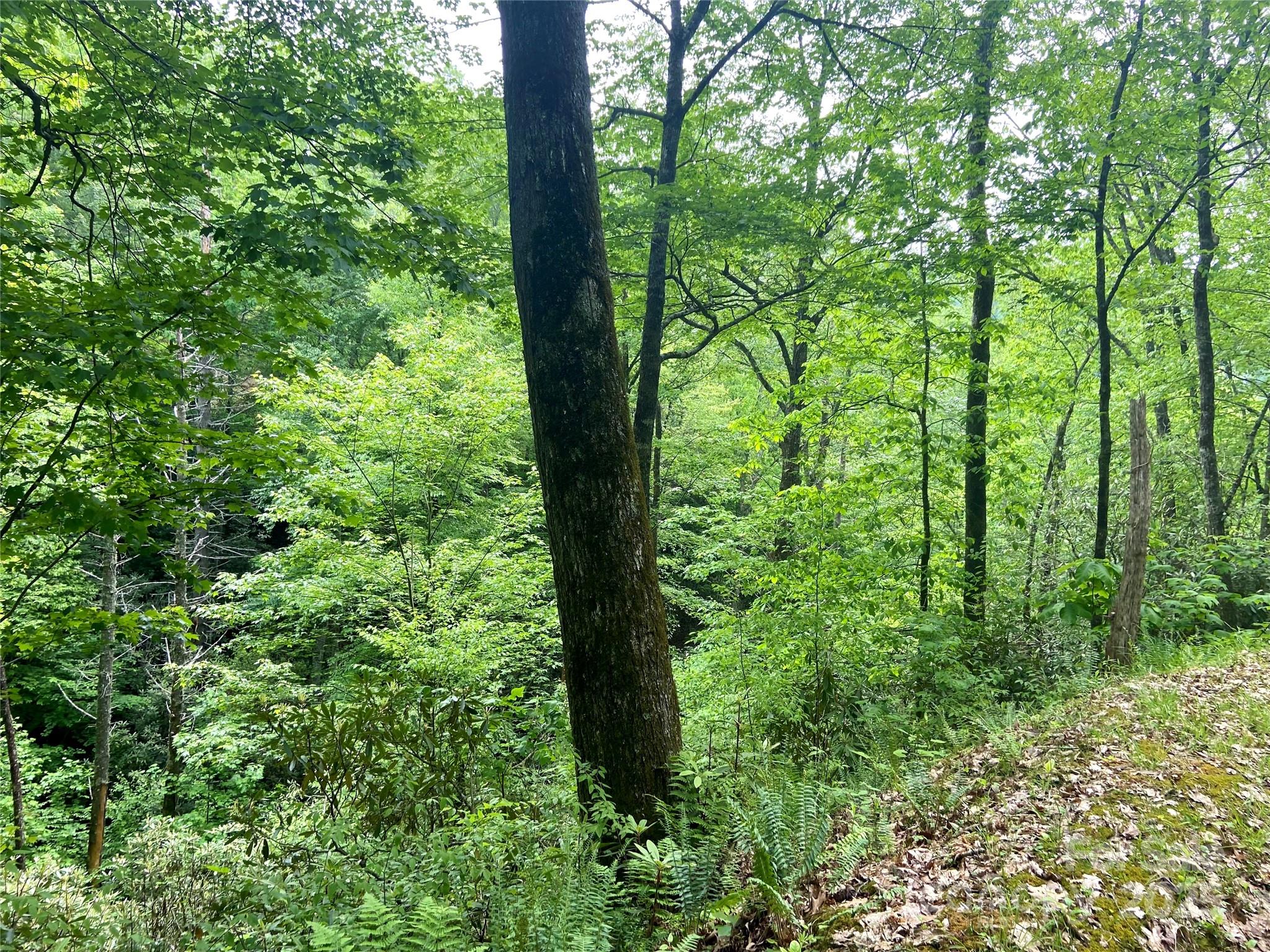 Lot 10 Mystic Forest Way Bryson City NC 28713