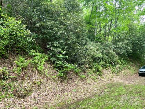 Lot 10 Mystic Forest Way Bryson City NC 28713