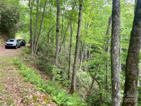 Lot 10 Mystic Forest Way Bryson City NC 28713