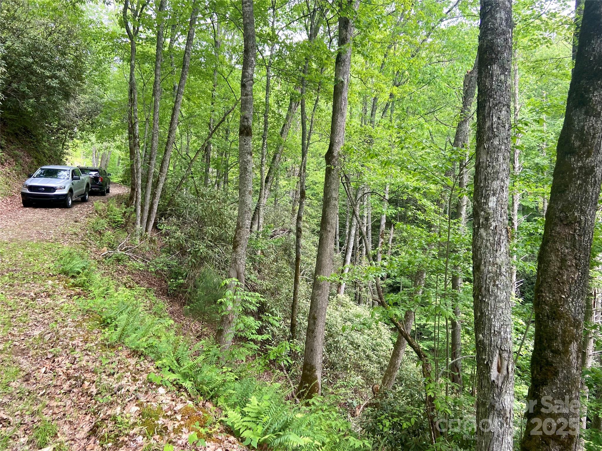 Lot 10 Mystic Forest Way Bryson City NC 28713