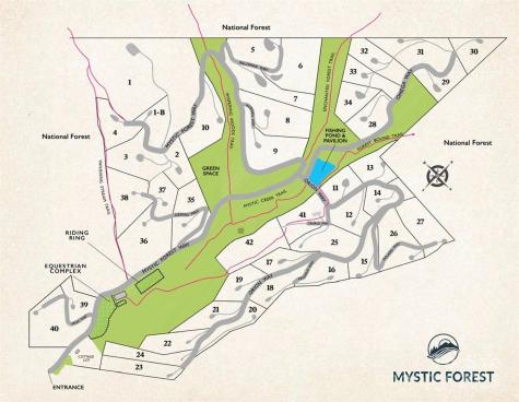 Lot 10 Mystic Forest Way Bryson City NC 28713