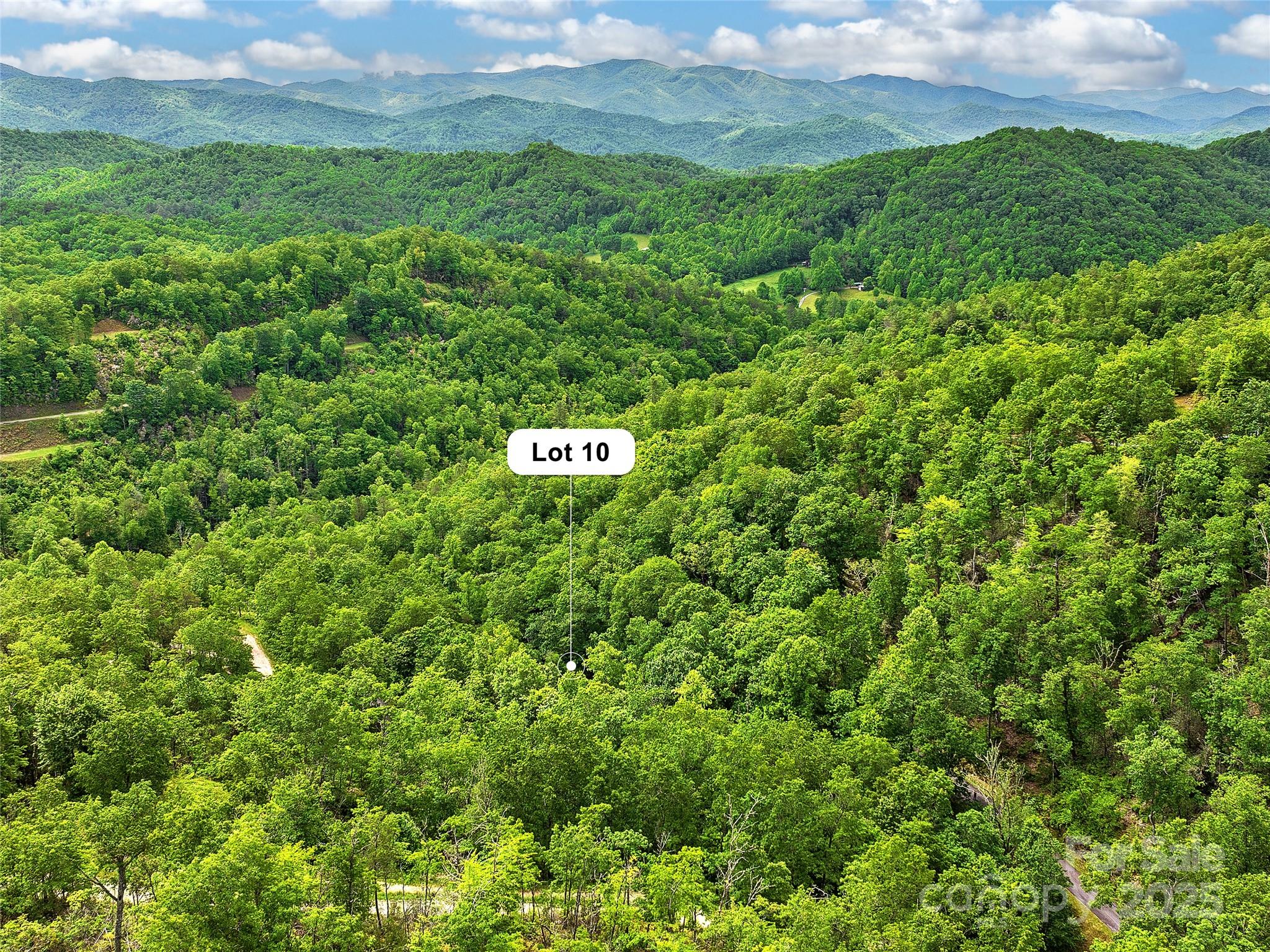 Lot 10 Mystic Forest Way Bryson City NC 28713