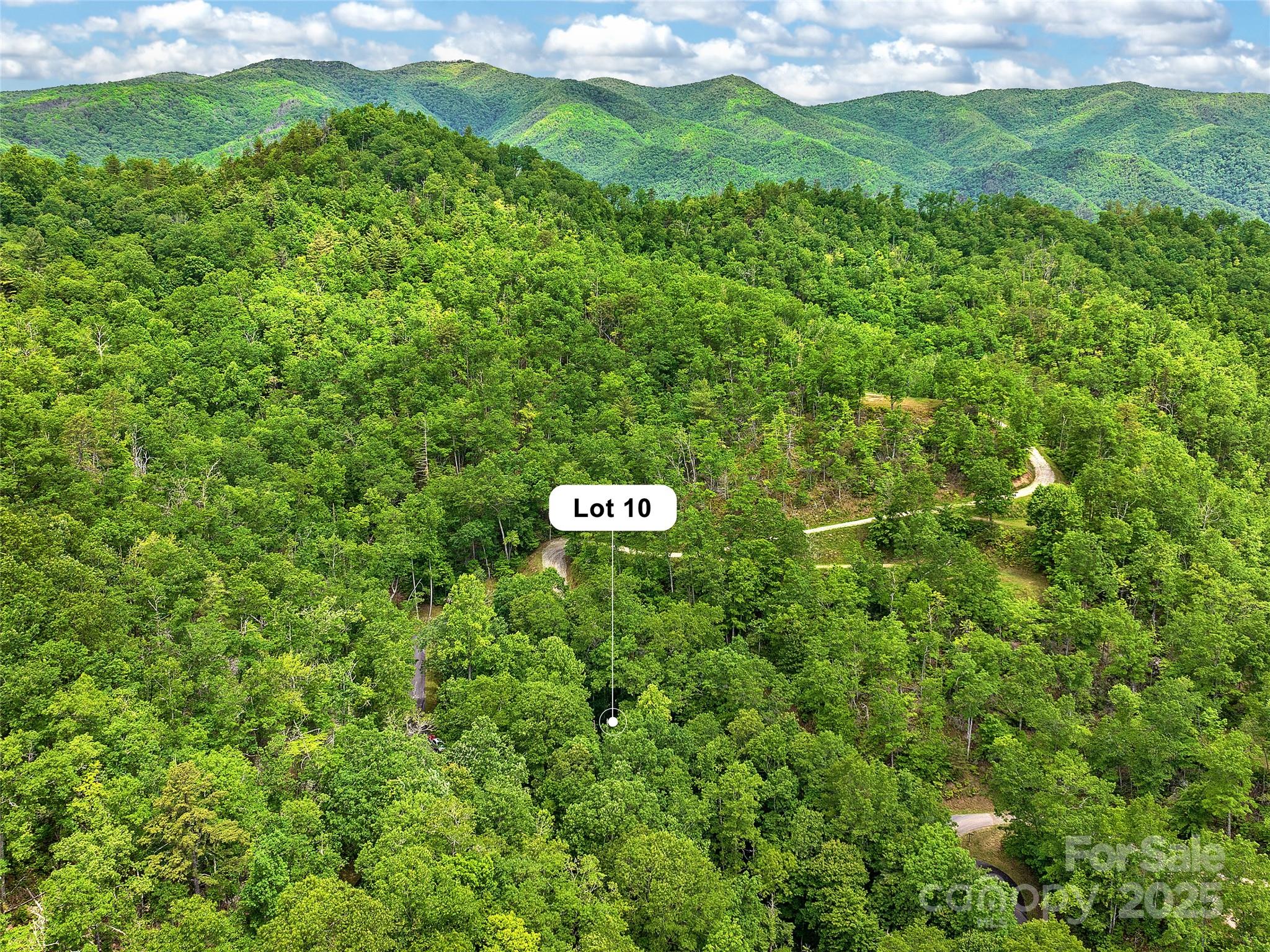 Lot 10 Mystic Forest Way Bryson City NC 28713