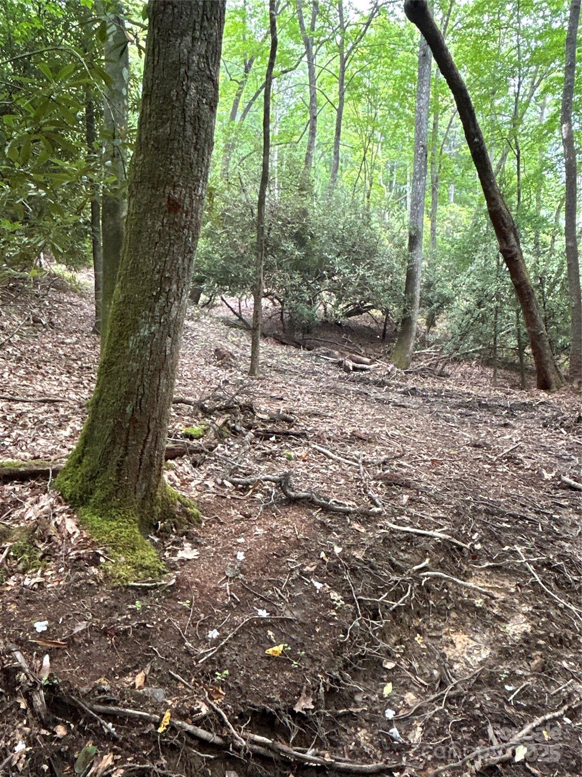 55 Locust Court Pisgah Forest NC 28768