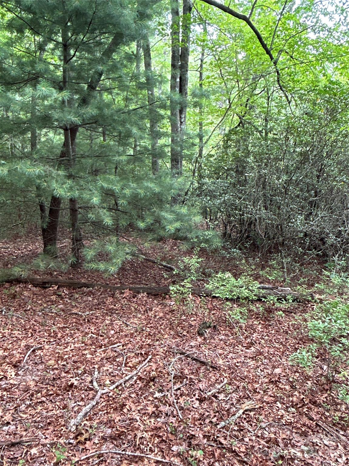 55 Locust Court Pisgah Forest NC 28768