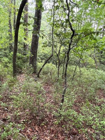 55 Locust Court Pisgah Forest NC 28768