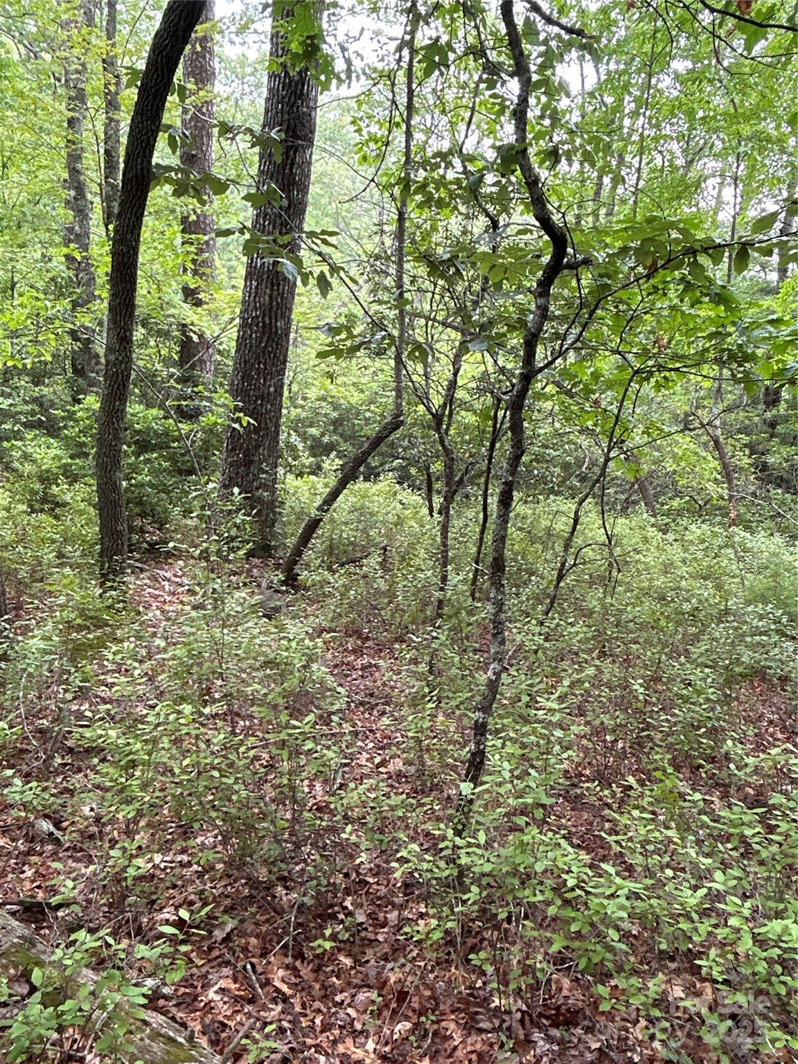 55 Locust Court Pisgah Forest NC 28768