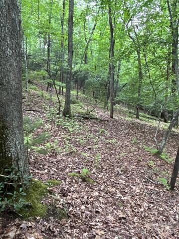 55 Locust Court Pisgah Forest NC 28768