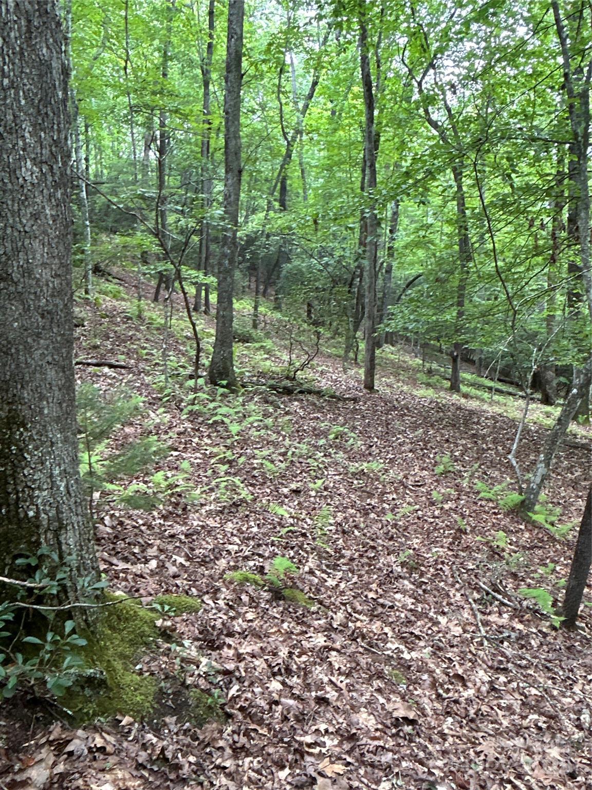 55 Locust Court Pisgah Forest NC 28768