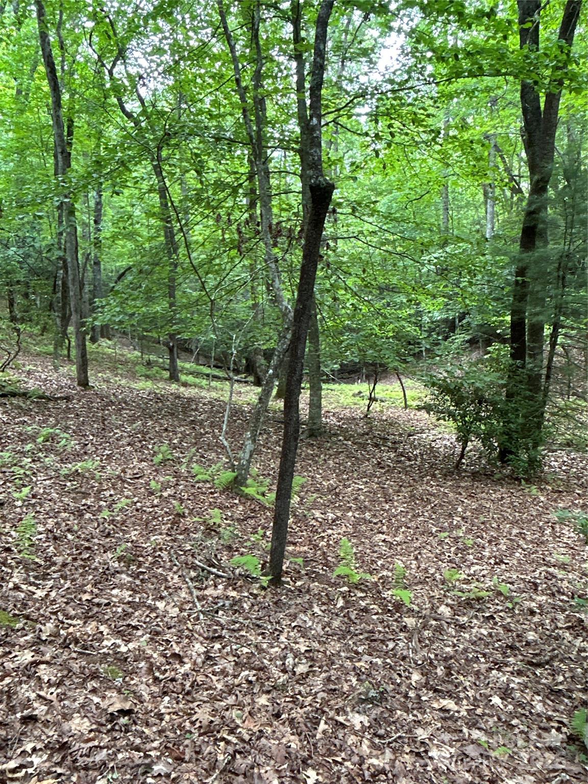 55 Locust Court Pisgah Forest NC 28768