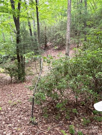 55 Locust Court Pisgah Forest NC 28768