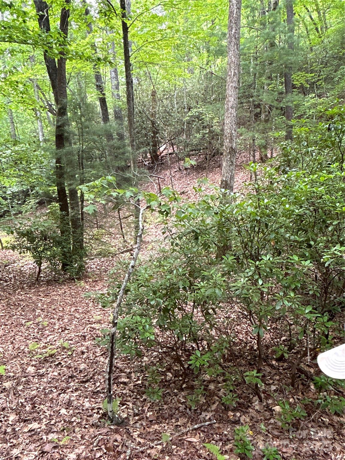 55 Locust Court Pisgah Forest NC 28768