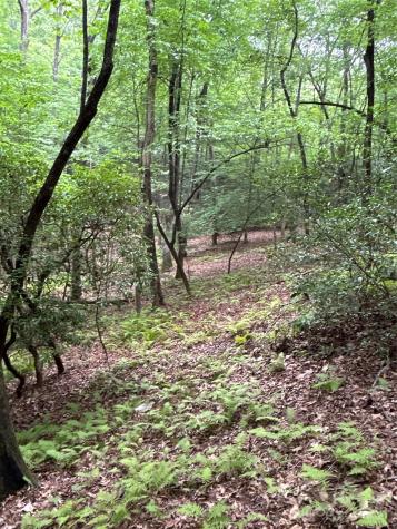 55 Locust Court Pisgah Forest NC 28768