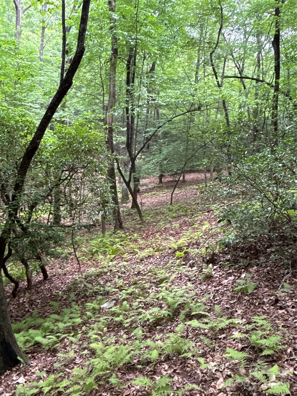 55 Locust Court Pisgah Forest NC 28768