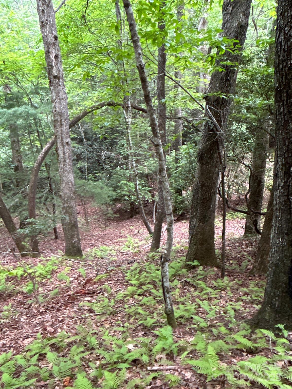 55 Locust Court Pisgah Forest NC 28768