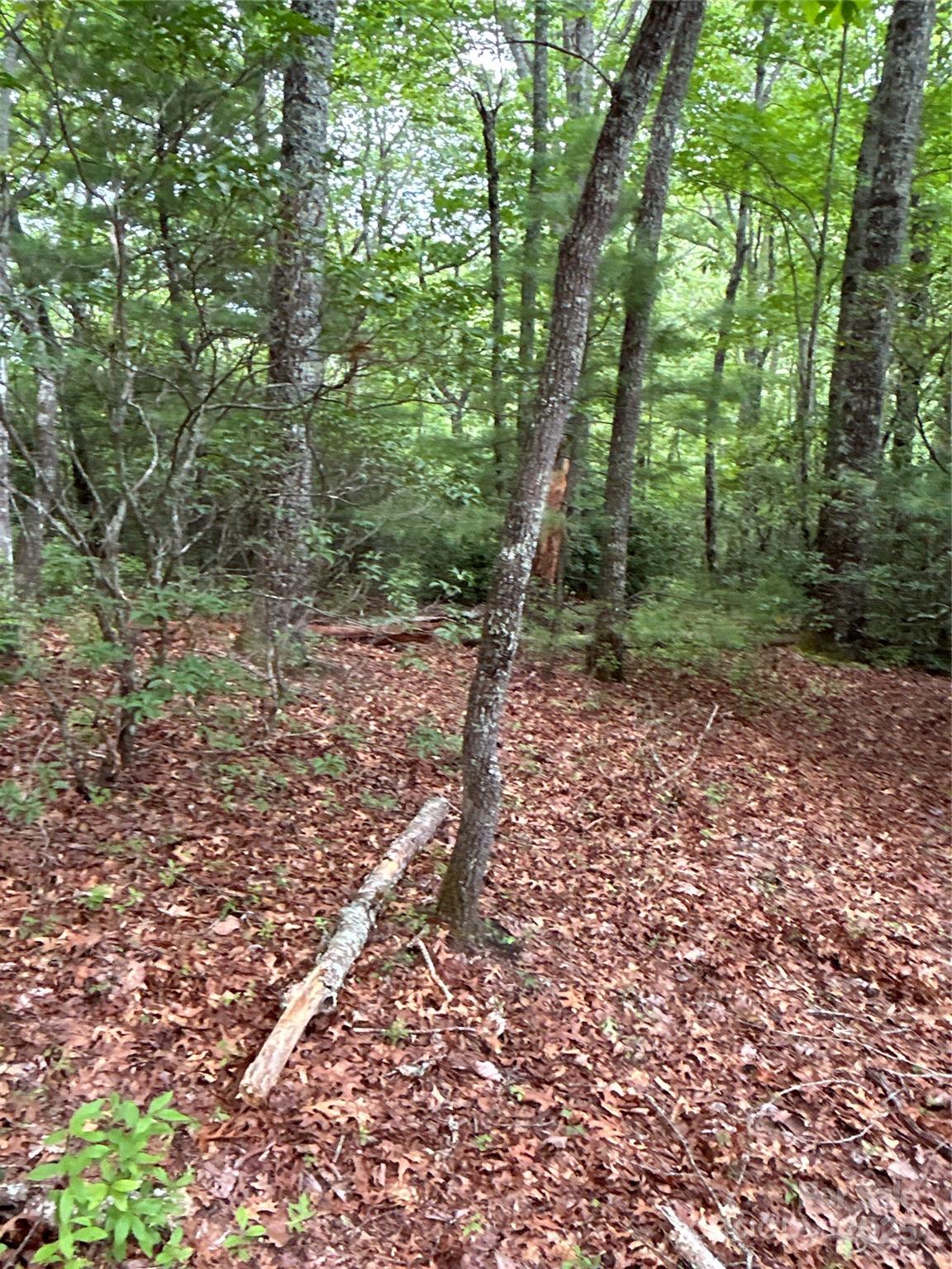 55 Locust Court Pisgah Forest NC 28768