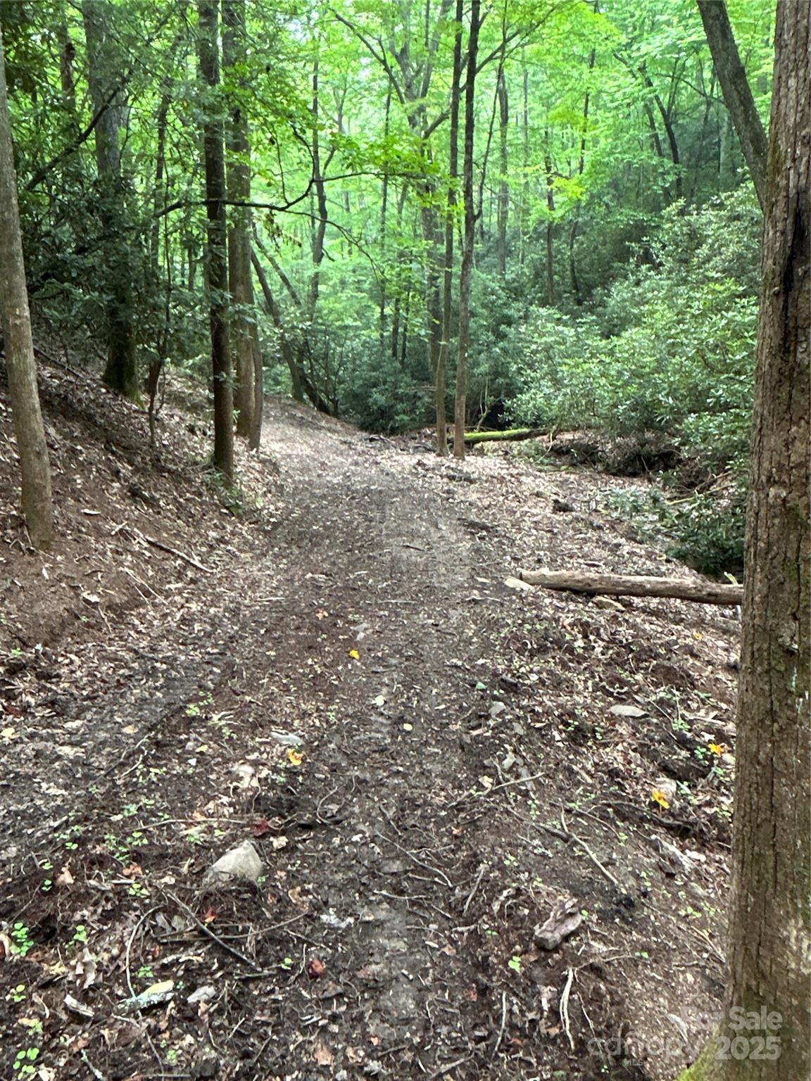 55 Locust Court Pisgah Forest NC 28768