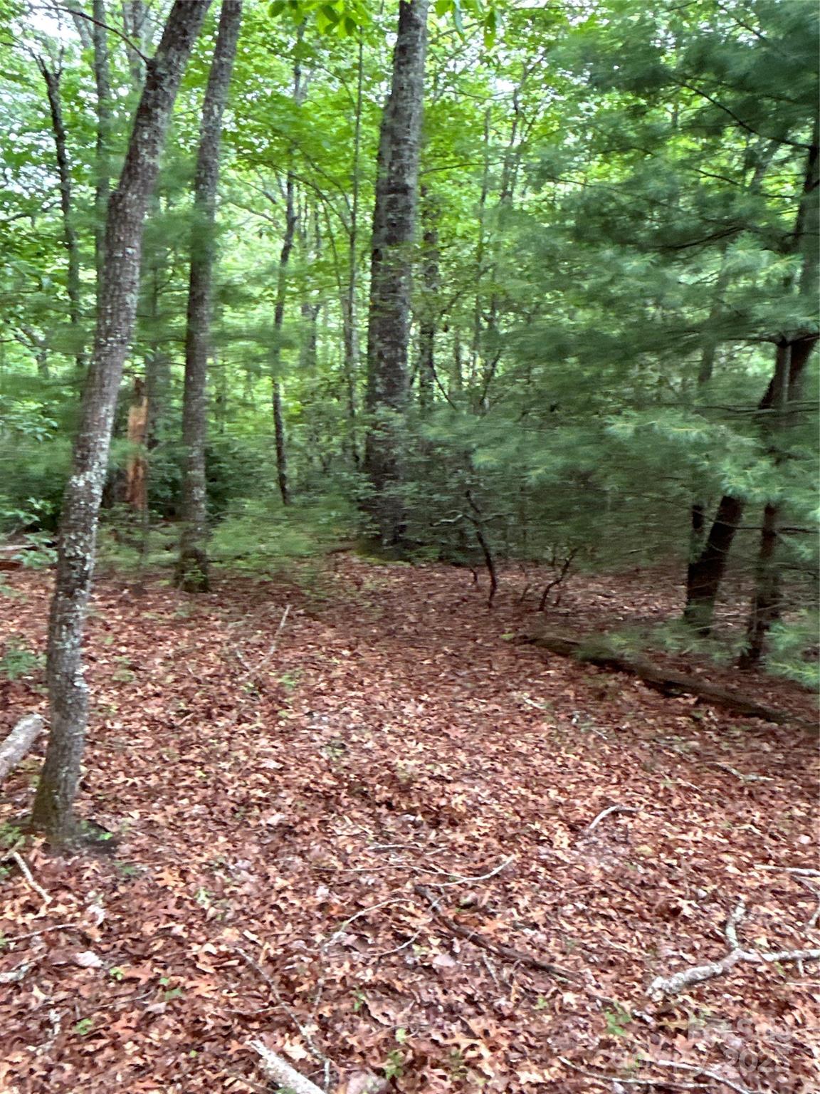 55 Locust Court Pisgah Forest NC 28768