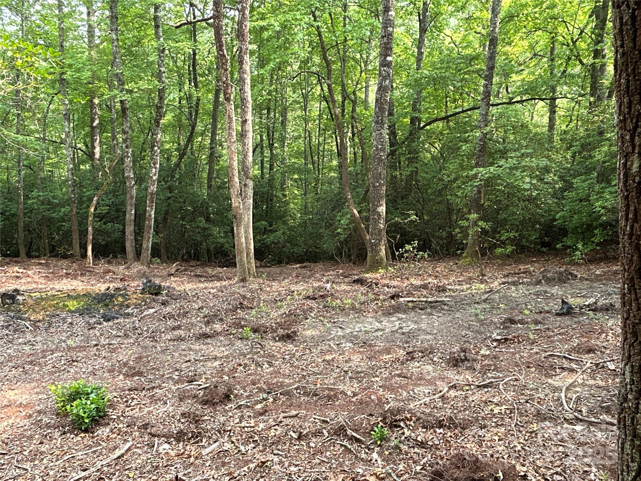 55 Locust Court Pisgah Forest NC 28768