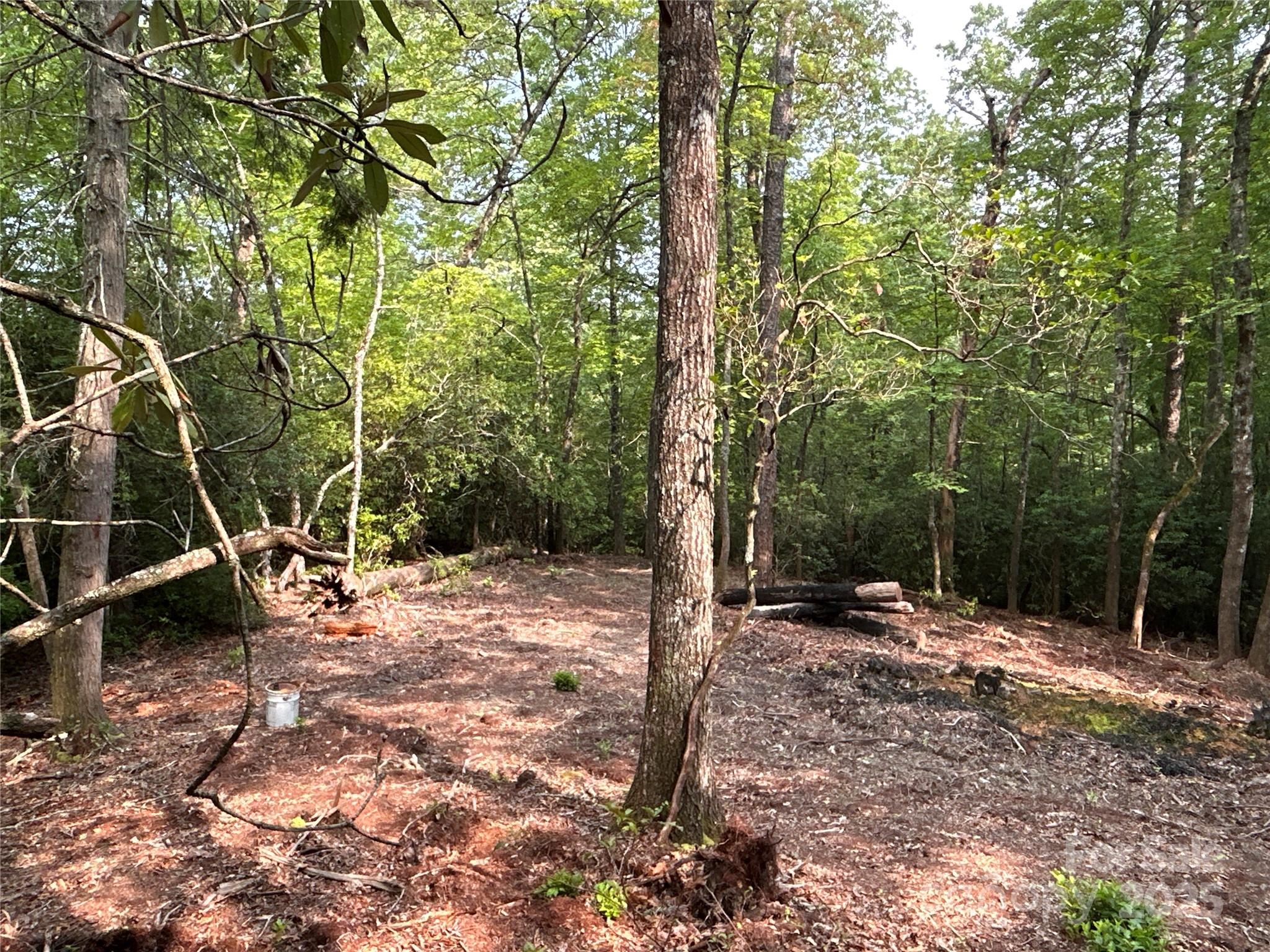 55 Locust Court Pisgah Forest NC 28768
