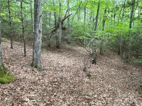 55 Locust Court Pisgah Forest NC 28768